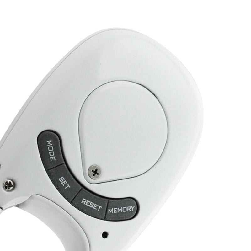 Carabiner Pedometer Keychain