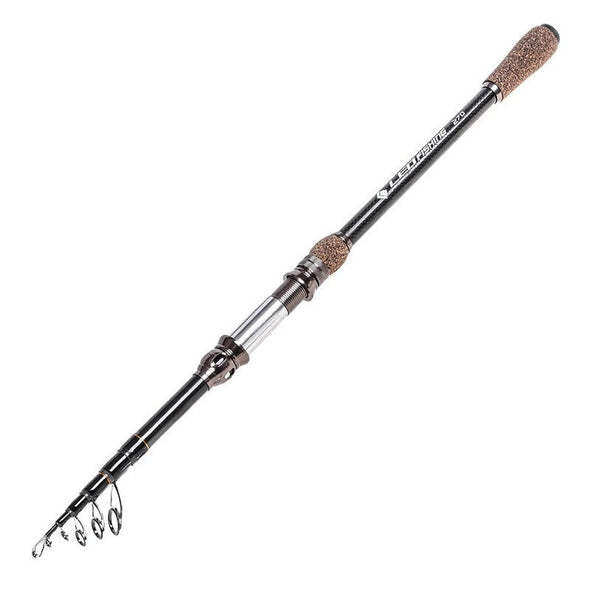 Carbon Telescopic Rod