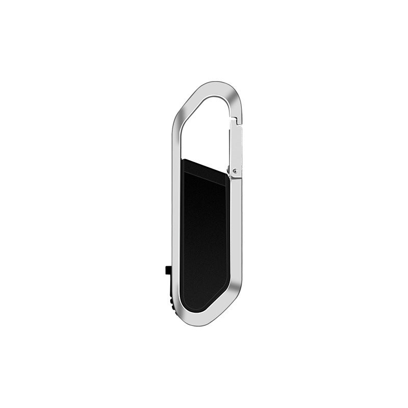 Carabiner Fashion Keychain Brand New