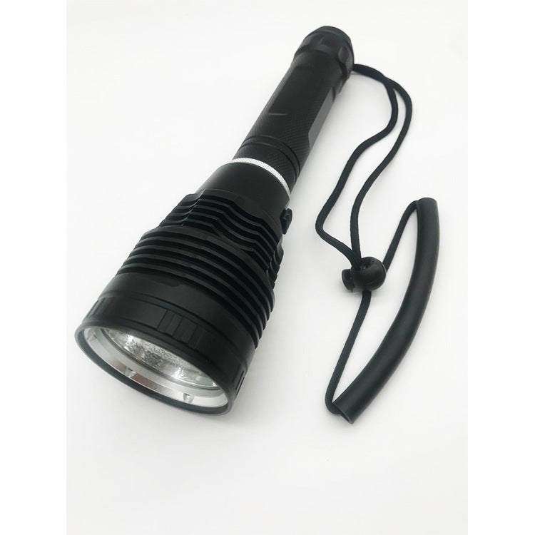 Diving Flashlight Deep Sea Patrol